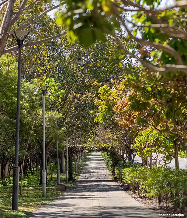 An Environment of CARE