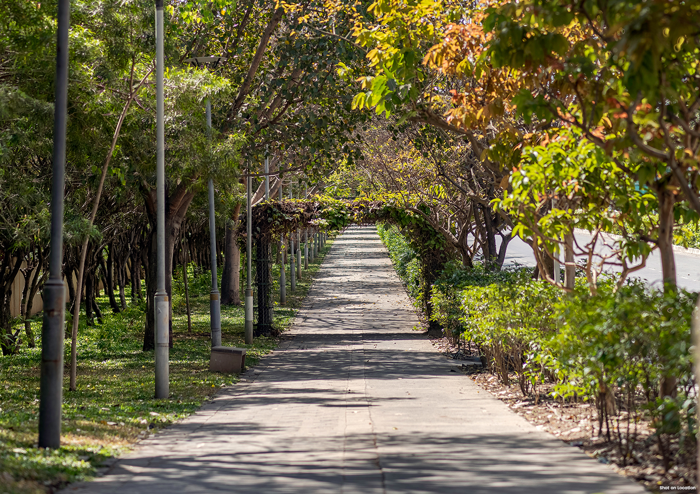 Better Living - Life Republic